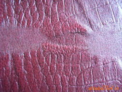 上海新徽皮革制品 人造革產品介紹與銷售指南